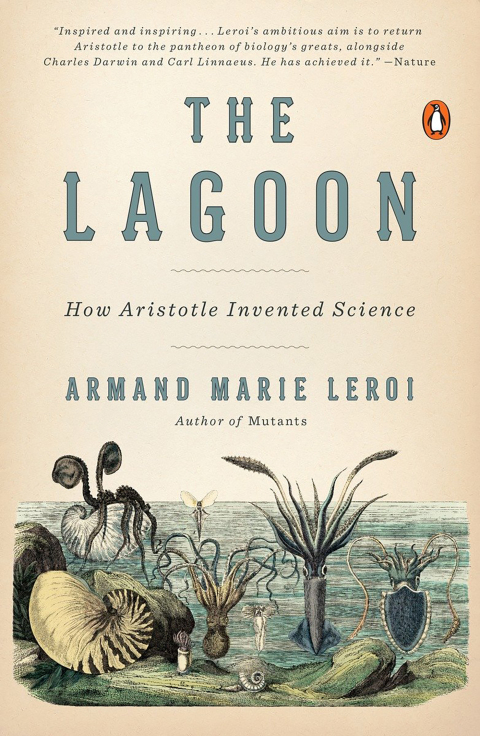 Cover image for book The Lagoon