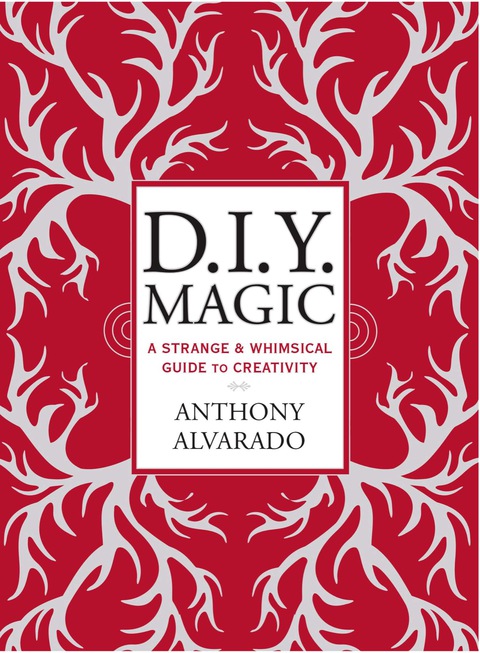 Cover image for book DIY Magic