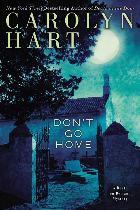 Cover image for book Don't Go Home
