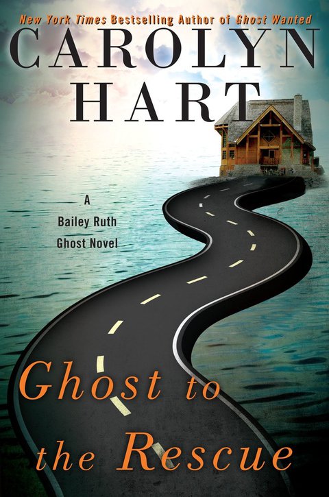 Cover image for book Ghost to the Rescue