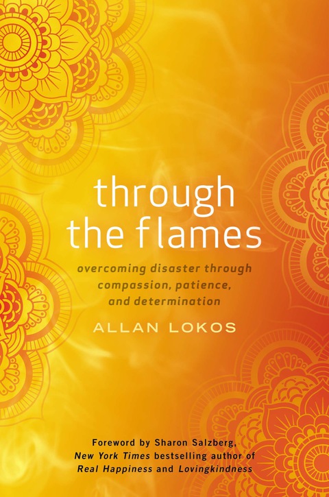 Cover image for book Through the Flames