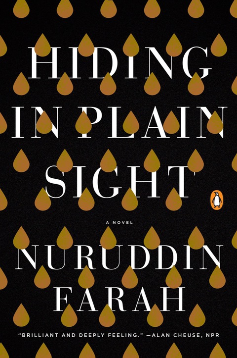 Cover image for book Hiding in Plain Sight
