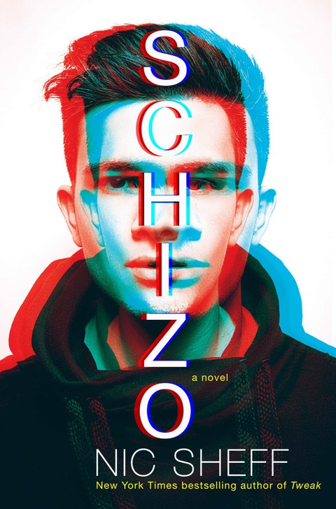 Cover image for book Schizo