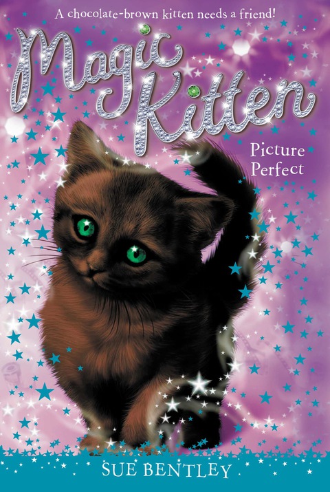 Cover image for book Picture Perfect #13