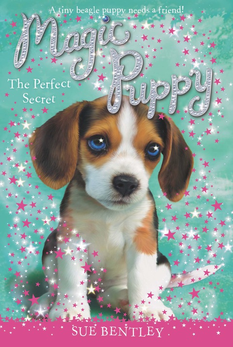 Cover image for book The Perfect Secret #14