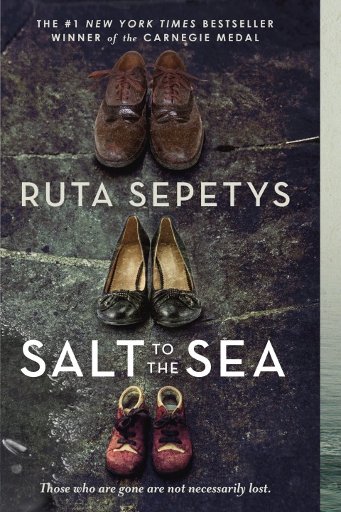 Cover image for book Salt to the Sea