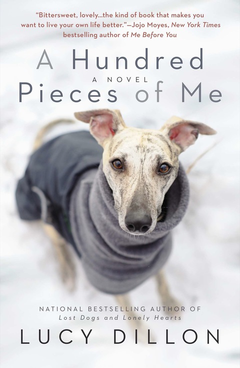 Cover image for book A Hundred Pieces of Me