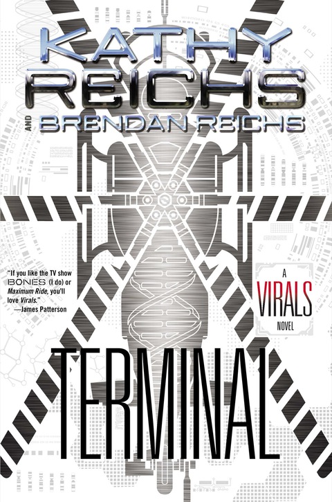 Cover image for book Terminal