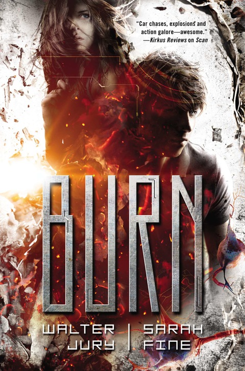 Cover image for book Burn