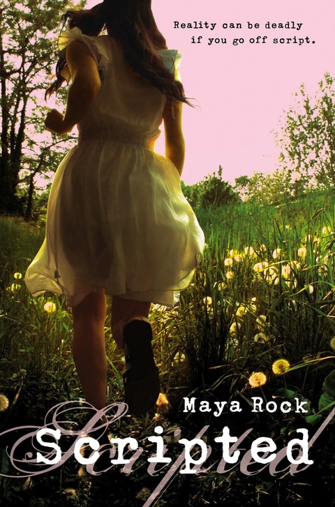 Cover image for book Scripted