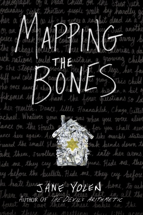Cover image for book Mapping the Bones