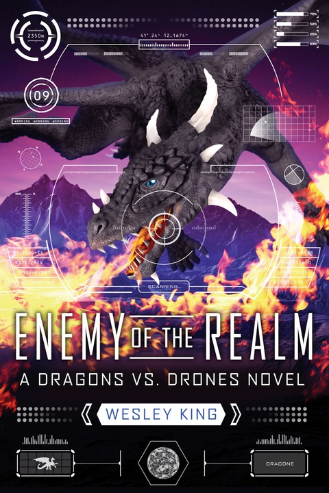 Cover image for book Enemy of the Realm