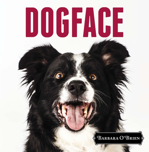 Cover image for book DogFace