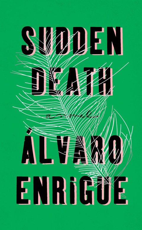Cover image for book Sudden Death