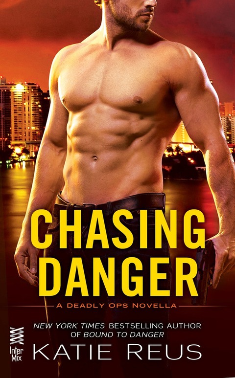 Cover image for book Chasing Danger