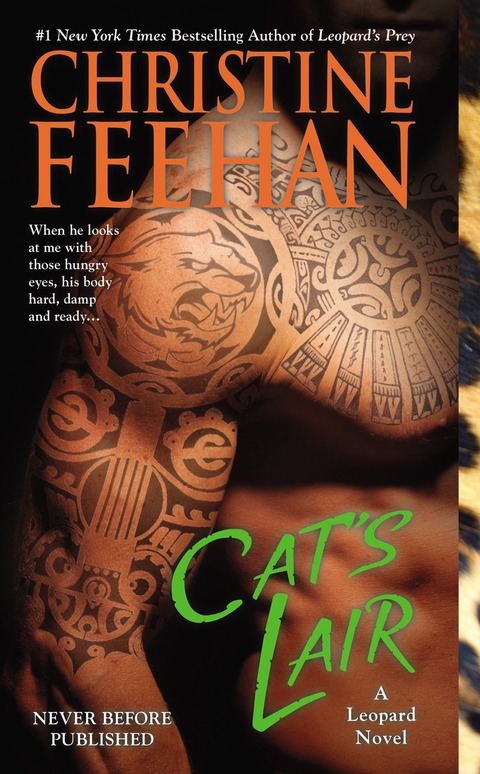 Cover image for book Cat's Lair