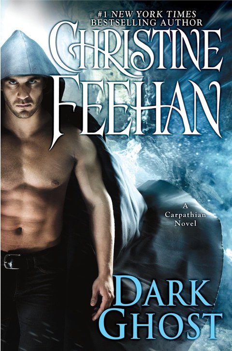 Cover image for book Dark Ghost