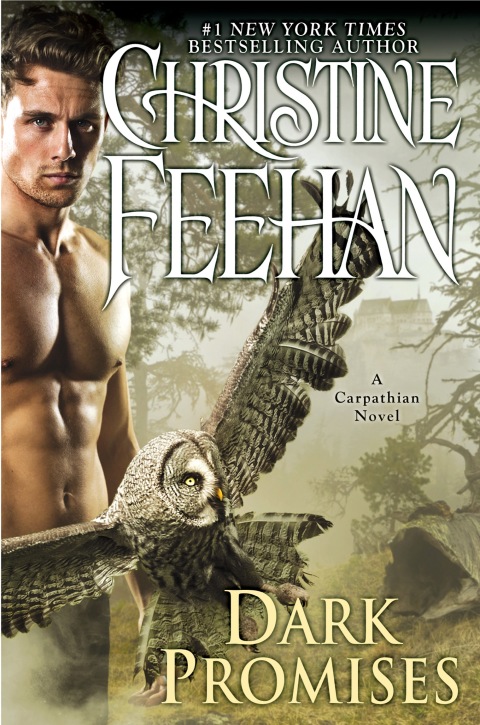 Cover image for book Dark Promises