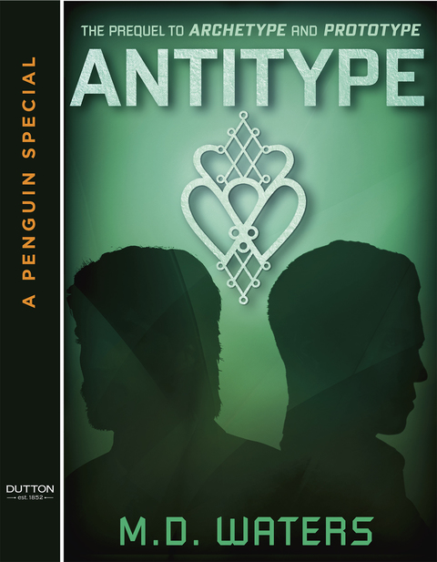 Cover image for book Antitype