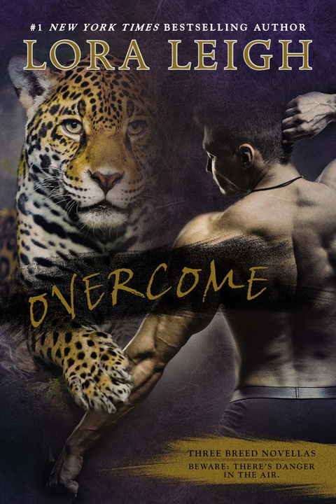 Cover image for book Overcome