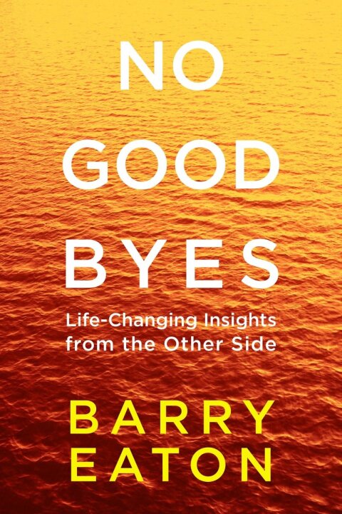 Cover image for book No Goodbyes