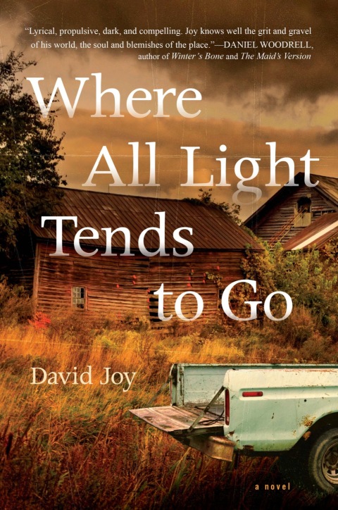 Cover image for book Where All Light Tends to Go
