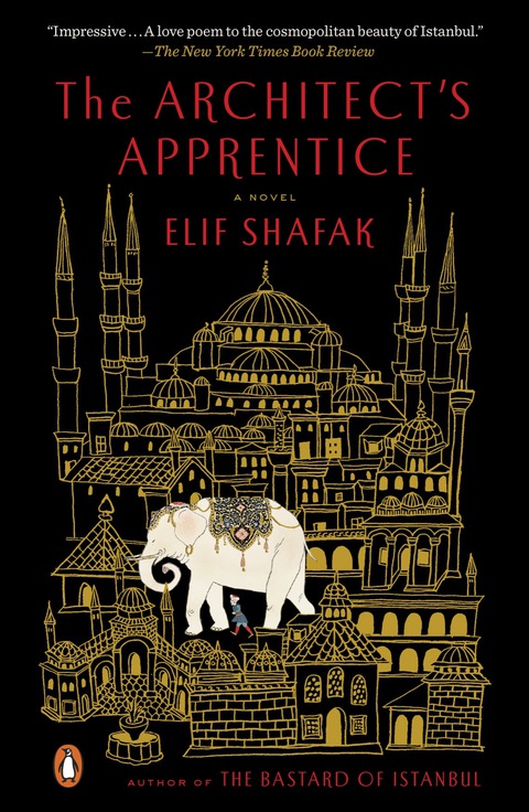 Cover image for book The Architect's Apprentice