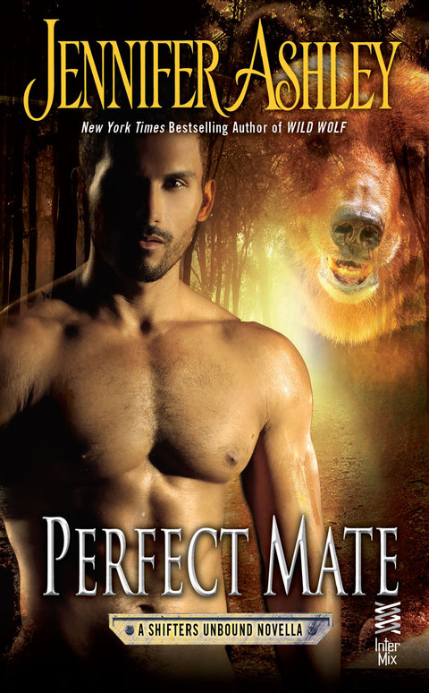 Cover image for book Perfect Mate