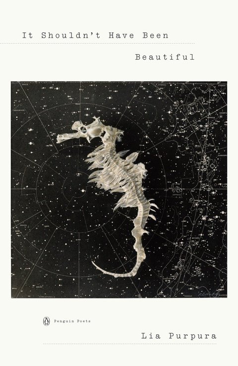 Cover image for book It Shouldn't Have Been Beautiful