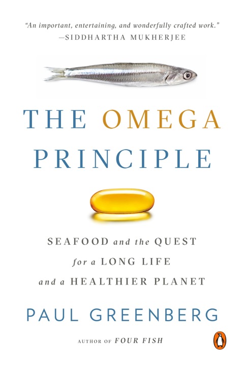 Cover image for book The Omega Principle