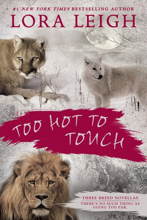 Cover image for book Too Hot to Touch