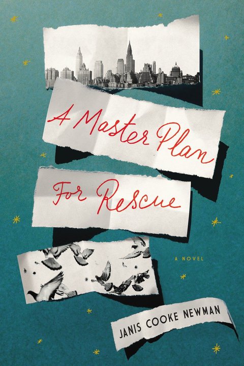 Cover image for book A Master Plan for Rescue