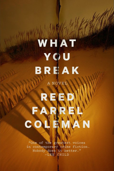 Cover image for book What You Break