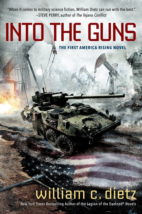 Cover image for book Into the Guns