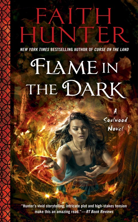 Cover image for book Flame in the Dark