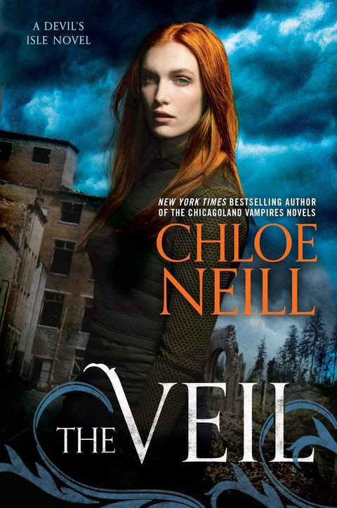 Cover image for book The Veil