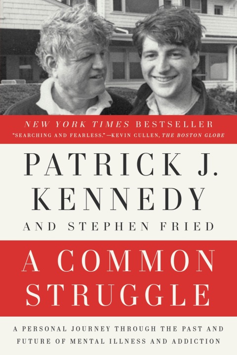 Cover image for book A Common Struggle