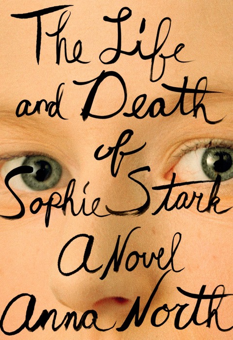 Cover image for book The Life and Death of Sophie Stark