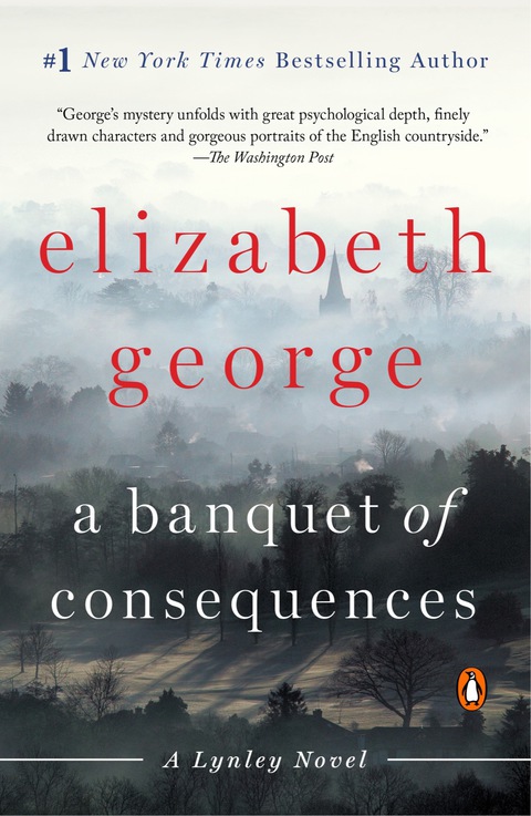 Cover image for book A Banquet of Consequences