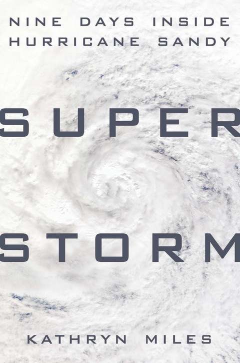 Cover image for book Superstorm