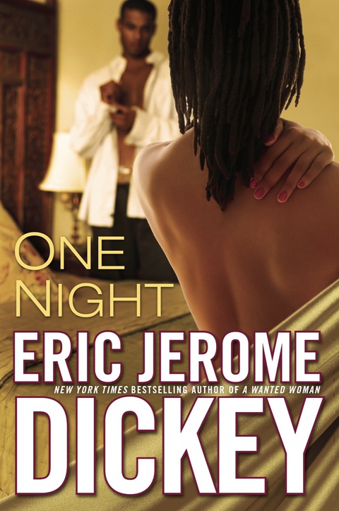 Cover image for book One Night