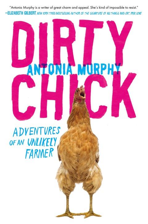 Cover image for book Dirty Chick