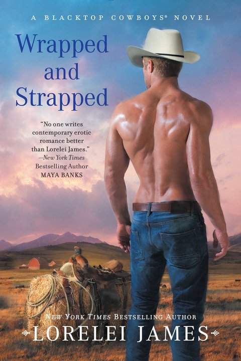 Cover image for book Wrapped and Strapped