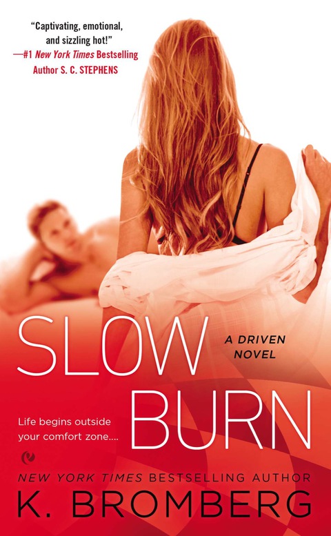 Cover image for book Slow Burn