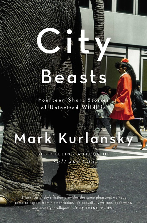 Cover image for book City Beasts