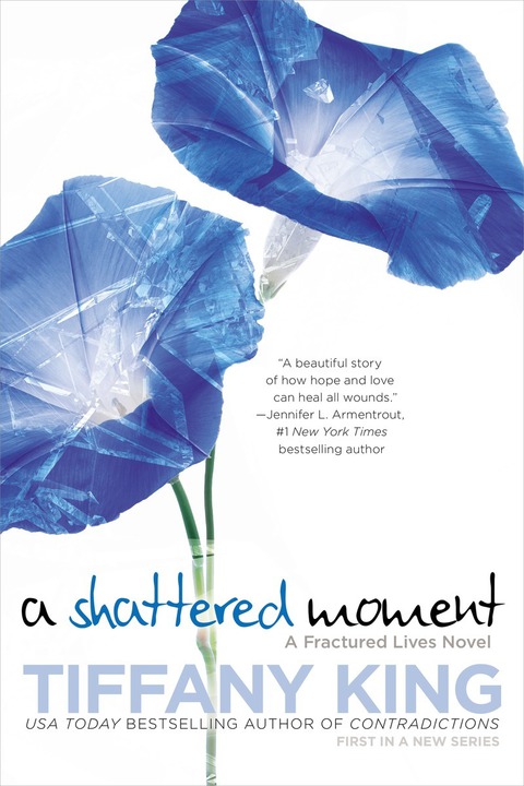 Cover image for book A Shattered Moment