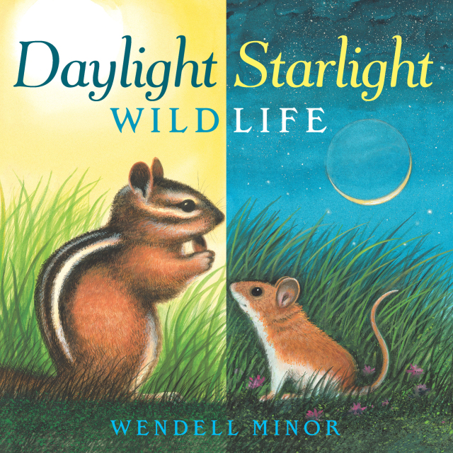Daylight Starlight Wildlife