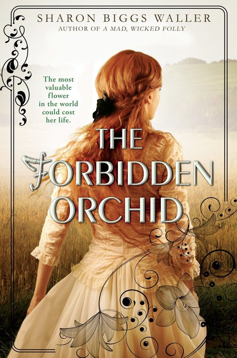 Cover image for book The Forbidden Orchid