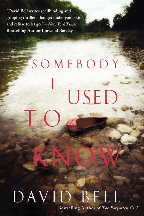 Cover image for book Somebody I Used to Know
