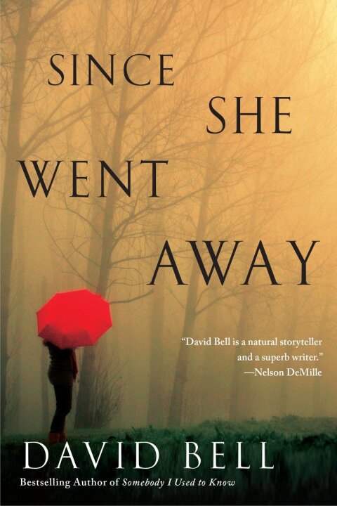 Cover image for book Since She Went Away
